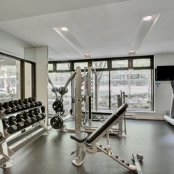 Gym with a dumbbell rack on the left, weight machines in the center, and a treadmill on the right by large windows.