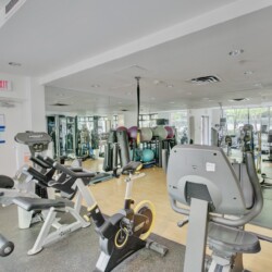 Gym workout area with cardio machines (treadmills, bikes) and colorful stability balls in the background; mirrors along the wall reflect equipment.