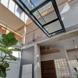 Modern multi-level interior with a glass skylight, concrete beams, metal railings, and a large leafy plant in the foreground.