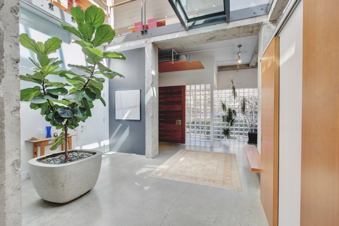 Modern bright foyer with a large potted fiddle-leaf fig, concrete columns, and glass block wall near a wooden entrance door.