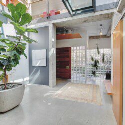 Modern bright foyer with a large potted fiddle-leaf fig, concrete columns, and glass block wall near a wooden entrance door.