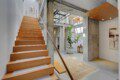Wooden staircase along a pale wall in a modern loft with concrete columns and a large potted plant nearby.