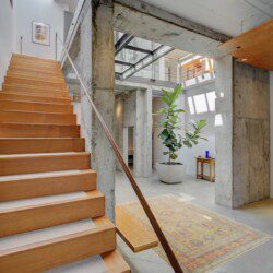 Wooden staircase along a pale wall in a modern loft with concrete columns and a large potted plant nearby.