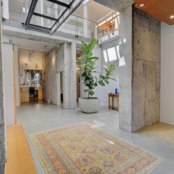 Open industrial lobby with concrete columns, a large leafy plant in a white pot, and a colorful rug near a wooden bench; office area visible in back.