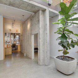 Open office lobby with exposed concrete walls, a large potted fiddle-leaf fig, and a wooden console table on the right.
