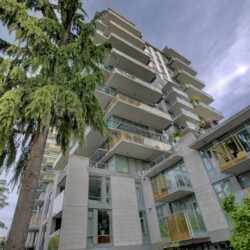Tall modern apartment building with numerous balconies beside a large green tree under a blue sky, angled upward view