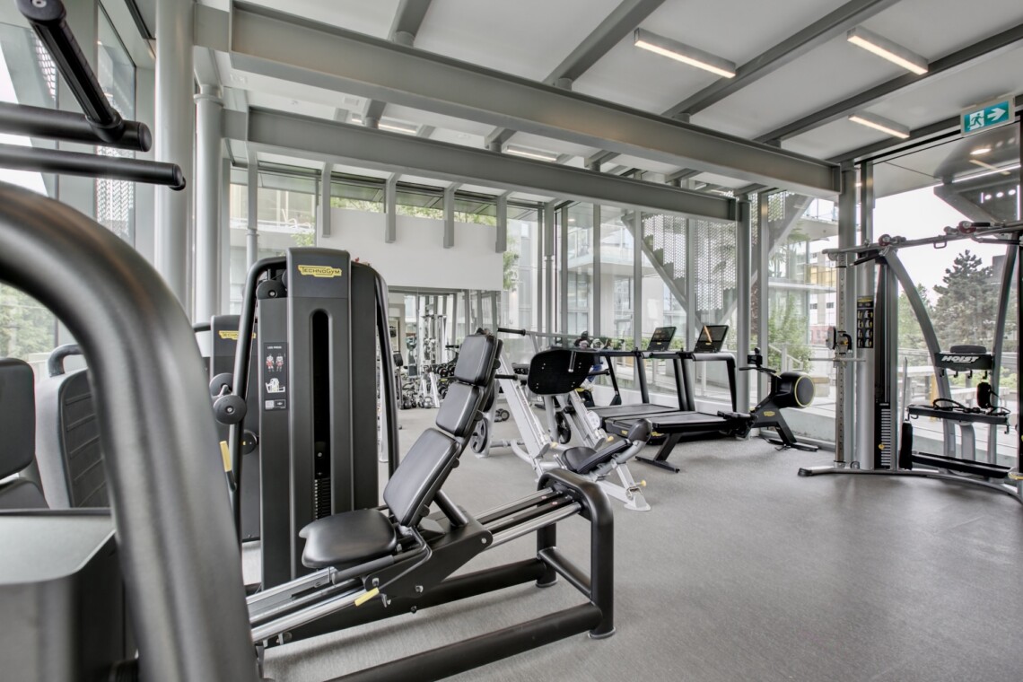 Bright gym with cardio machines and weight equipment near large windows and steel beams.