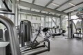 Bright gym with cardio machines and weight equipment near large windows and steel beams.