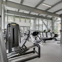 Bright gym with cardio machines and weight equipment near large windows and steel beams.