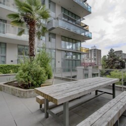 Outdoor terrace with long wooden benches and a tall palm tree, adjacent to a modern apartment building with glass balconies and greenery in planters.