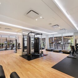 Bright modern gym with wooden flooring, cardio machines by the windows, and a central multi-station strength trainer.