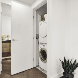 Hallway view into a laundry nook with stacked washing machines and a potted plant in the foreground.