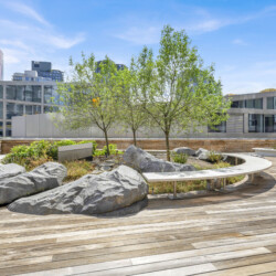 Rooftop garden with three small trees, large rocks, and curved benches on a wooden deck, with modern glass buildings in the background.
