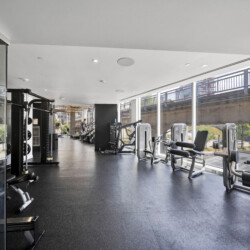 Well-lit gym with cardio and strength machines along large glass walls and a city view outside.