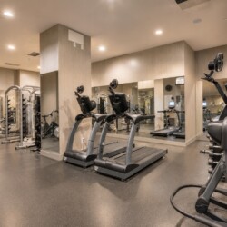 Row of treadmills in a modern gym with mirrors on the back wall and free weights to the left.