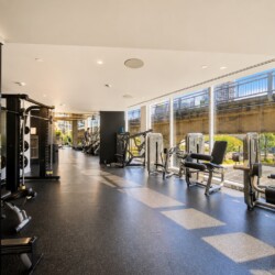Bright gym interior with weight machines and cardio equipment along large windows overlooking an outdoor railing area.