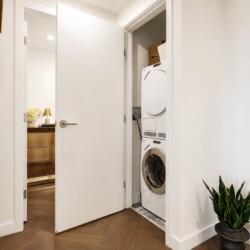 Open door reveals a laundry closet with a stacked washer and dryer in white cabinetry and a potted plant nearby in the hallway.