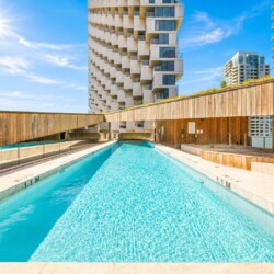 Rooftop swimming pool in a city setting, surrounded by wooden panels and high-rise buildings under a bright blue sky.
