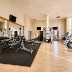 Well-lit gym interior with a mirrored wall, free weights on racks, benches, and weight machines along a black rubber mat area near cardio machines beyond the windows.