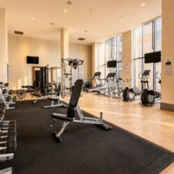 Well-lit gym with free weights, benches, treadmills, and bikes along large windows at the back of the room.