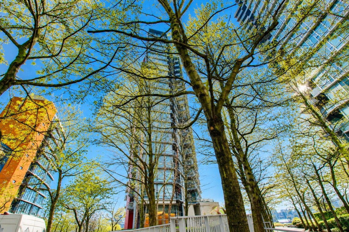 Tall glass skyscraper rising between leafing trees under a clear blue sky, cityscape foregrounded by greenery.