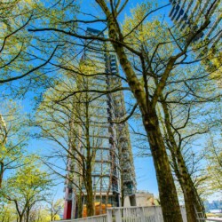 Tall glass skyscraper rising between leafing trees under a clear blue sky, cityscape foregrounded by greenery.