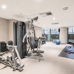 Modern gym with a multi-station weight machine, benches, dumbbells, and a blue exercise ball near large windows.