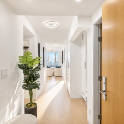 Bright white hallway with light wood floor, a tall potted plant, and a living room with a city view at the end.