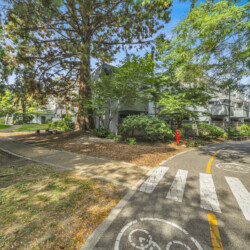 Bicycle and pedestrian path curving through a tree-filled campus area with a modern building in the background and bike lane markings on the pavement.