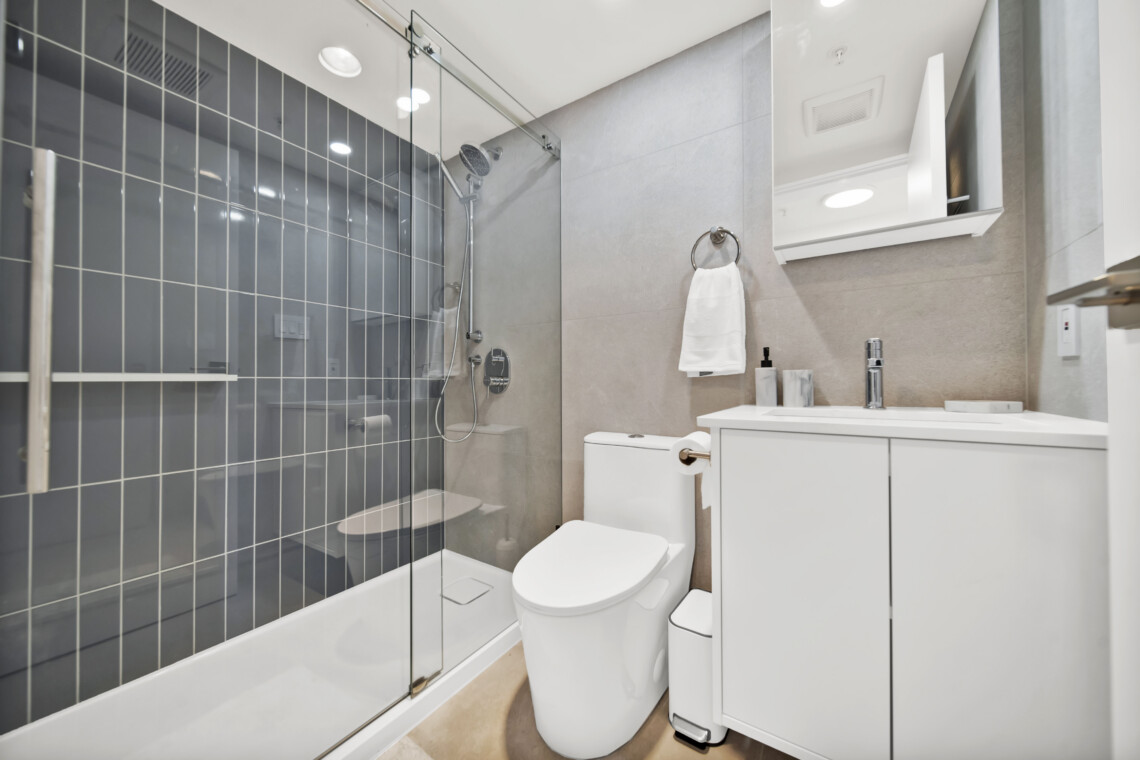 Modern bathroom showing a glass-enclosed shower with dark gray tile, white toilet, and white vanity with sink fixtures.
