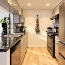Modern galley kitchen with stainless steel fridge, oven, and dishwasher, light wood flooring, and a marble-like countertop. A colorful quilted apron hangs on the back wall beside a small plant and framed seaside artwork.