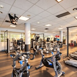 Bright gym interior with multiple cardio machines including stationary bikes and treadmills in a spacious room.