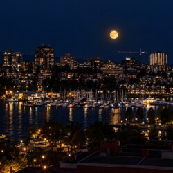 Full moon over a nighttime city skyline with a marina of docked boats and warm city lights reflecting on the water.