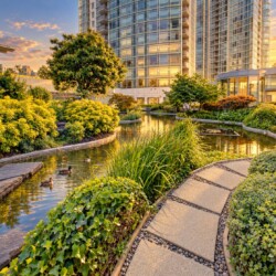 Sunset-lit urban garden with a winding pond, stone path, and lush shrubs beside tall glass buildings. ducks swim in the water.