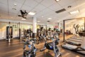 Modern gym with cardio machines (stationary bikes and treadmills), large windows, and mirrors in the background.