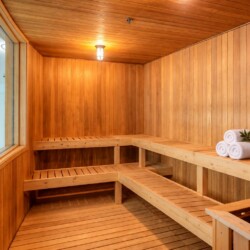 Wood-paneled sauna with multi-level benches and a small plant on rolled towels by the right-hand bench.