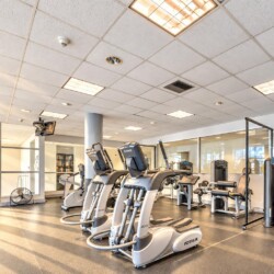 Bright gym with multiple cardio machines including treadmills and stationary bikes facing a glass partitioned workout area