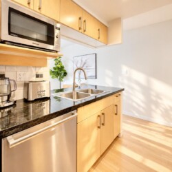 Modern kitchen with black granite countertop, double sink, and stainless steel appliances under light wood cabinets.
