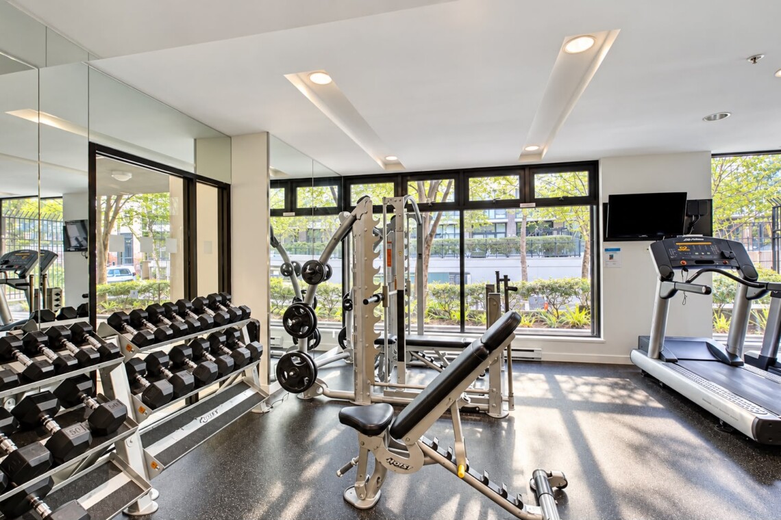 Bright gym interior with dumbbell racks, a multi-station weight machine, a bench, and cardio treadmills by large windows with greenery outside.