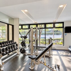 Bright gym interior with dumbbell racks, a multi-station weight machine, a bench, and cardio treadmills by large windows with greenery outside.