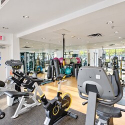 Bright gym interior with cardio machines (stationary bikes and elliptical) in foreground and a wall of mirrors, exercise balls, and weights in background