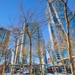 Low-angle view of tall glass skyscrapers reflecting a blue sky, framed by leafless trees in an urban plaza.